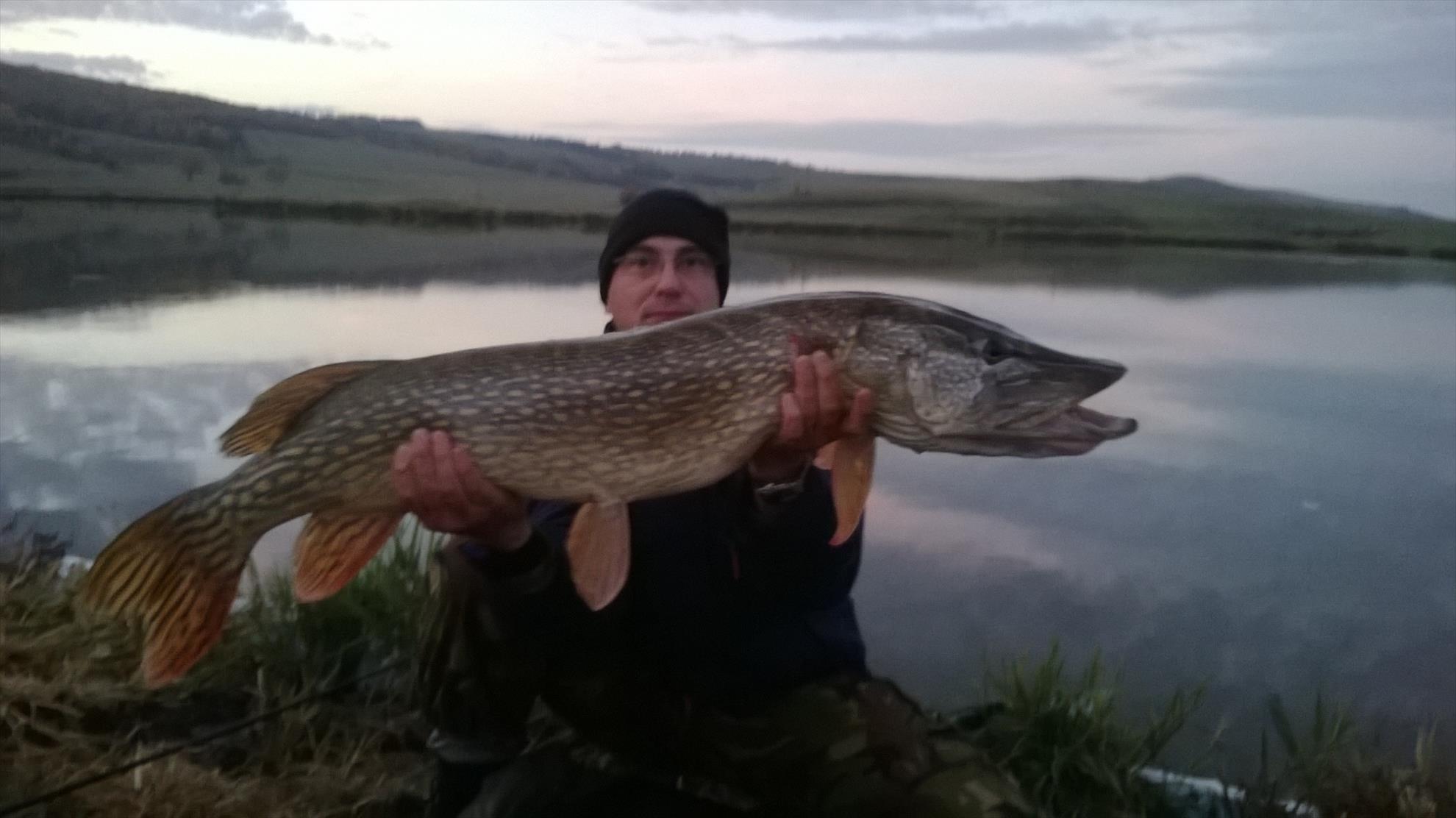 De toate - wp20131013004.jpg